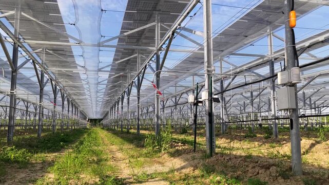 Aerial view of agrivoltaic solar panels installed over agricultural land with metal support structures and irrigation systems in Faenza, Emilia-Romagna, Italy.