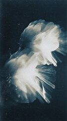 Obraz premium Abstract floral design in dark tones, perfect for mobile wallpaper.