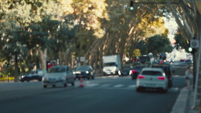 Traffic at an intersection with trees and cars in a city during the afternoon
