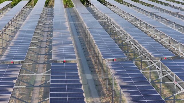 Aerial view of an agrivoltaic system with rows of solar panels installed above green crops in Faenza, Emilia-Romagna, Italy.