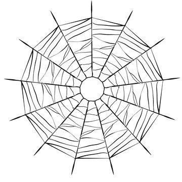 vector illustration of Spiderweb art design element png
