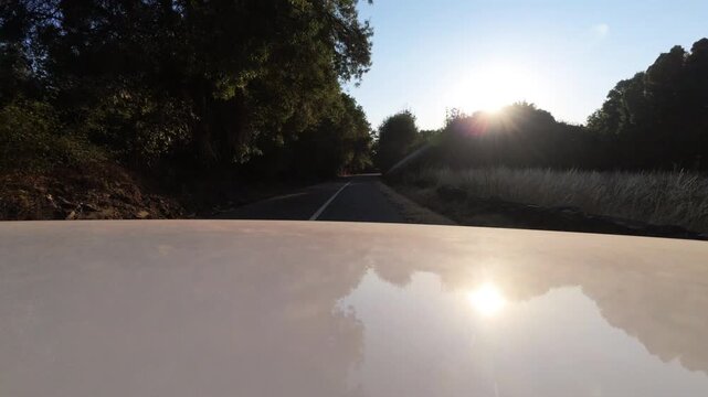 Driving Toward Low Sun on a Tree Lined Rural Road