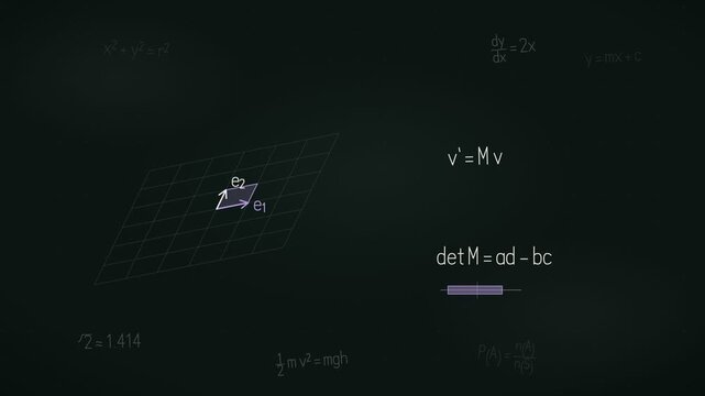 Animated Matrix Determinant and Basis Vector Diagram