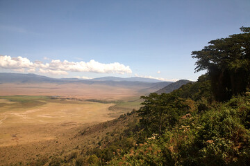 Blick vom bewaldeten Kraterrand in den Ngorongoro-Krater © Jane Be. The Picture
