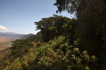 Trockene Ngorongoro-Ebene zwischen bewaldetem Kraterrand und Bergen © Jane Be. The Picture