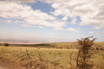 Trockene Hochebene mit dorniger Buschvegetation am Ngorongoro-Krater © Jane Be. The Picture