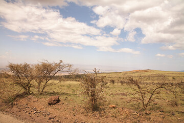 Trockene Buschlandschaft mit Blick über die Ebene am Ngorongoro-Krater © Jane Be. The Picture