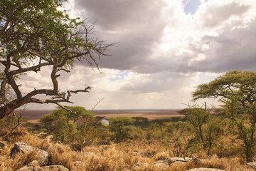 Weite trockene Ebene am Ngorongoro-Krater mit Wolken und Bäumen © Jane Be. The Picture