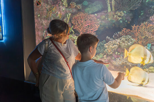 Mother and Son Watching Fish in oceanarium Large Aquarium Tank Together 