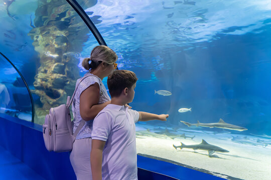 Mother and Son Watching Fish in oceanarium Large Aquarium Tank Together 