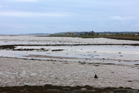 Tidal marsh in County Kerry, Ireland. Exposed muddy seabed at low tide, birdwatching opportunity.