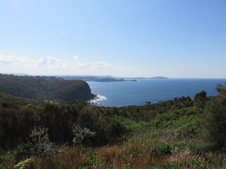 Obraz premium Coastal lookout over heath and a forested sandstone headland toward distant bays and hills along the Pacific coast of eastern Australia