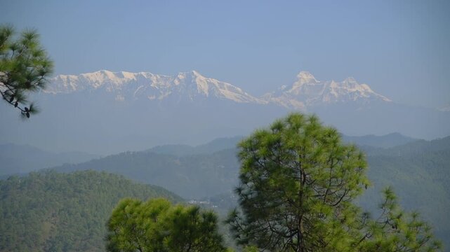 Pine Forest Near Almora with Panoramic Himalayas with Nanda Devi Peak