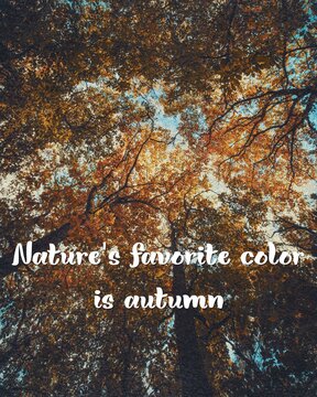 Nature's favorite color is autumn inspirational text with beautiful fall foliage