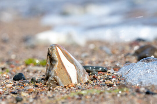 small stone on a sandy beach with blurred waves