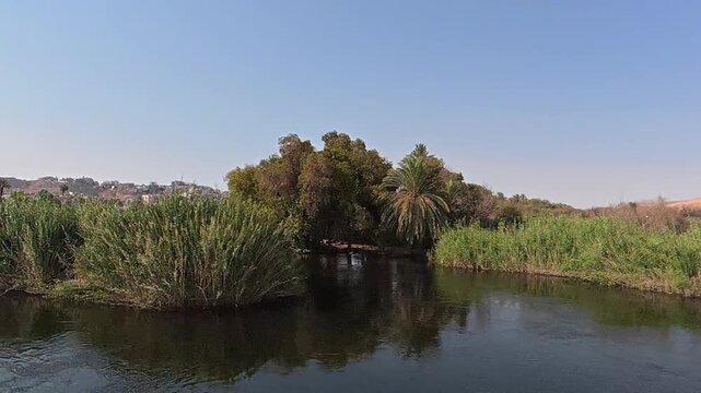 Un bonito paisaje que representa la vida en el Nilo pasando por Egipto