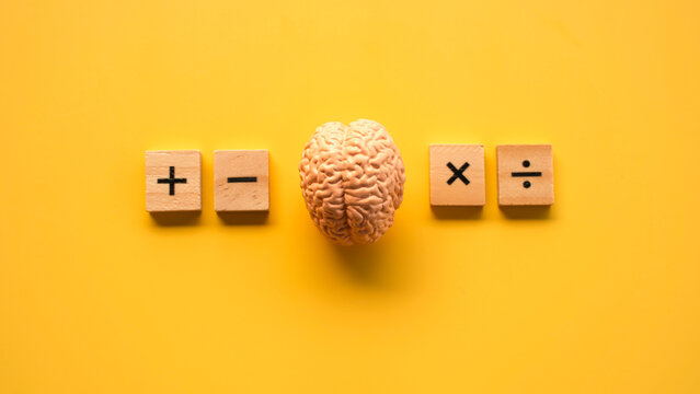Human Brain Model Centered Between Basic Math Symbol Wooden Blocks on Yellow Surface