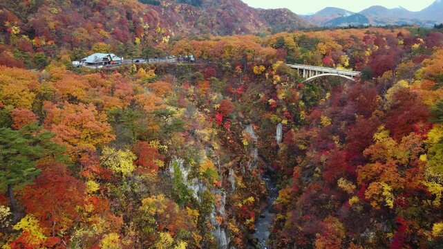 宮城県 鳴子峡の紅葉風景と大深沢橋 空撮ドローン映像 Aerial Shot of Autumn Colors at Naruko Gorge, Miyagi Japan
