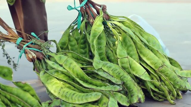 Close-up movement of a pile of fresh green petai or stink bean (parkia speciosa) pods.