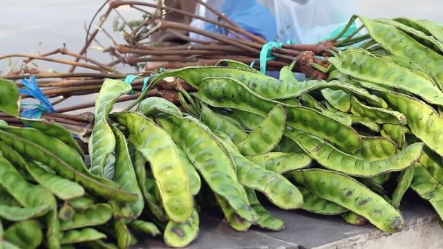 Close-up movement of a pile of fresh green petai or stink bean (parkia speciosa) pods.