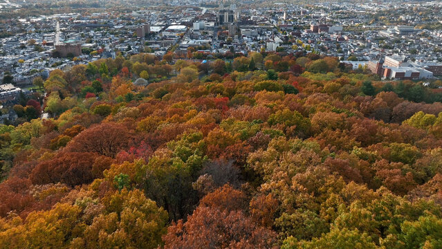 Aerial view of the city of Reading surrounded by vibrant autumn foliage with colorful trees, urban buildings, and a clear sky in Reading, Pennsylvania, United States.
