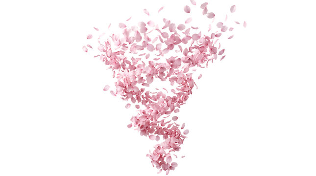 Soft pink cherry blossom petals swirling in the air isolated on transparent background png.