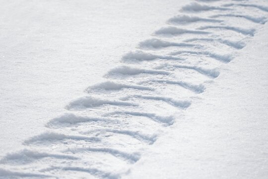 Car tracks in the fresh snow