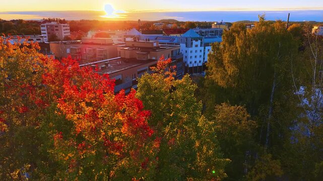 Red and yellow autumn trees during sunrise in Finland city landscape. 