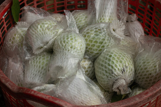 Red plastic crate brimming with fresh harvested guavas wrapped in protective foam nets and plastic bags