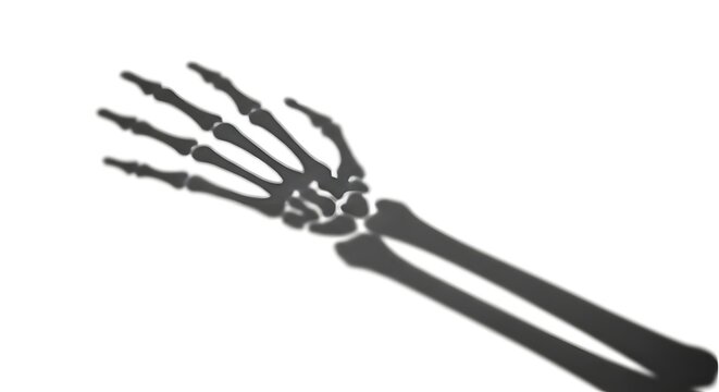 A highly detailed illustration depicts a human skeletal arm and hand clearly isolated on a simple plain white background suitable for medical or artistic