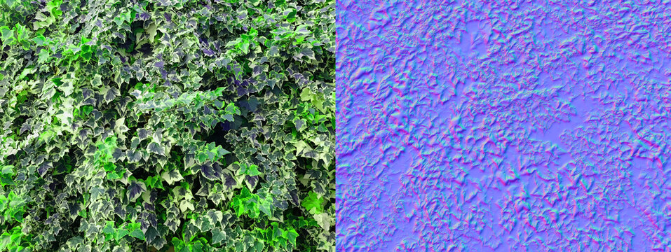 Variegated ivy leaves texture background with corresponding normal map for 3D graphics and rendering
