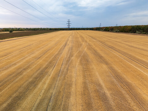 Aerial view of wheat fields and power lines near Ercsi, Hungary in summer