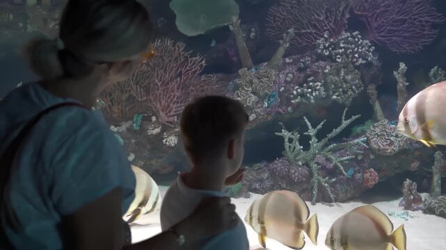Mother and Son Watching Fish in oceanarium Large Aquarium Tank Together 