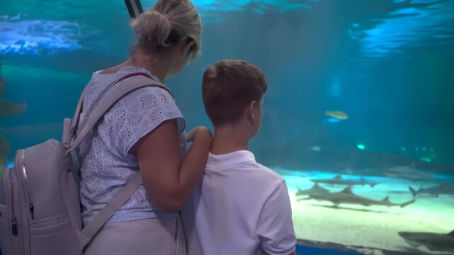 Mother and Son Watching Fish in oceanarium Large Aquarium Tank Together 