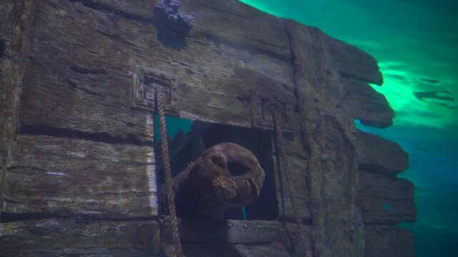 Sunken Shipwreck Wooden Hull with Porthole Window Underwater