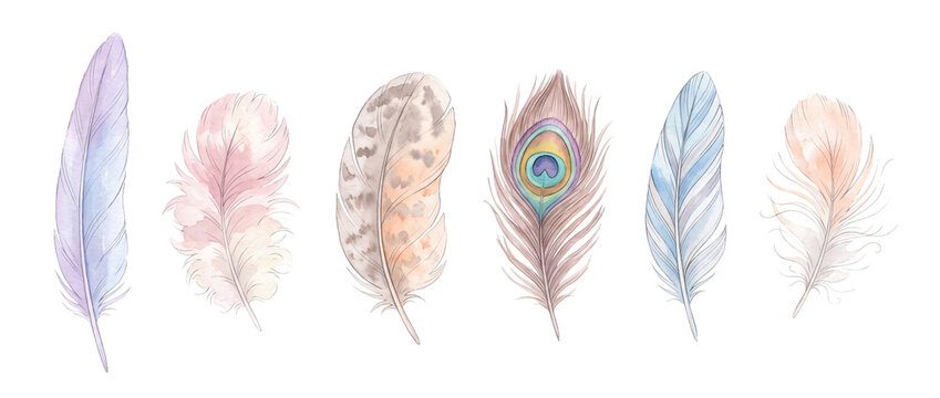 Watercolor feather set bird feather illustration isolated on black background for boho decoration, pastel watercolor peacock feather, plumages clipart collection for wedding design and crafts.