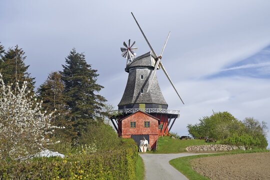 A big windmill next to a blue building surrounded by fields and trees under a clear sky, Rudk&ouml;ping, Langeland, Funen, manor house route
