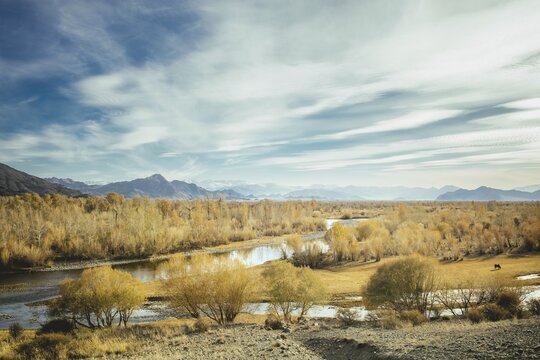 Altai, Landscape near Olgii, Mongolia
