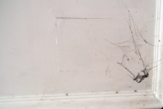 close-up view of dusty spider webs clinging to the corner of a dirty white wall