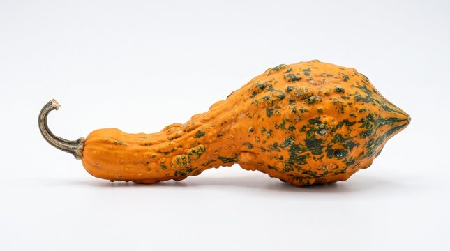 Ornamental Gourd with Textured Orange and Green Skin on White Background