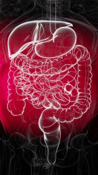 Abdominal pain is discomfort felt in the area between the chest and pelvis, which may result from conditions affecting the digestive system or other abdominal organs in UHD