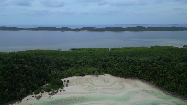 Aerial view of the lush mangrove forest bordering a white sand beach and turquoise waters on Batam Island, Batam, Riau Islands, Indonesia.