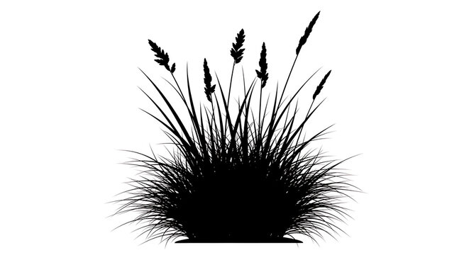 Black silhouette of a wild grass plant clump