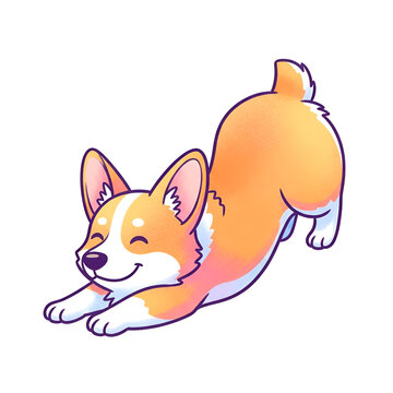 Cute cartoon corgi dog stretching happily isolated illustration.