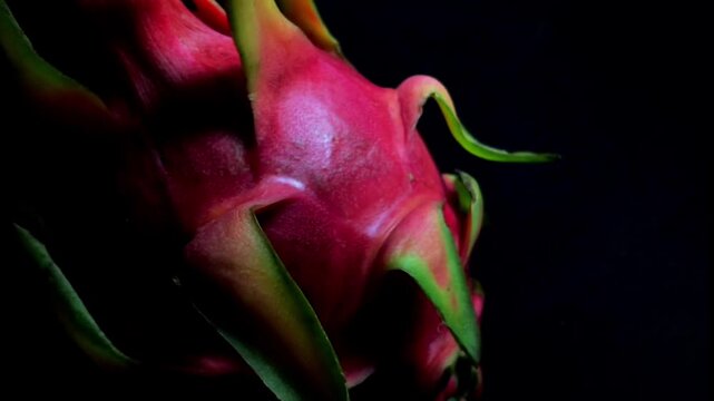 Slow motion spin of exotic tropical pitahaya fruit with dramatic studio lighting