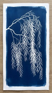 Hanging Willow Tree Branches Cyanotype Sun Print Delicate Botanical Blue Wall Art