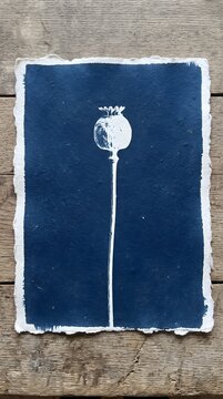 Single Poppy Seed Pod Stem Cyanotype Blueprint Minimalist Botanical Blue Artwork