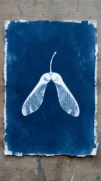 Sycamore Maple Samara Seed Wings Cyanotype Print Minimalist Blue Wall Art