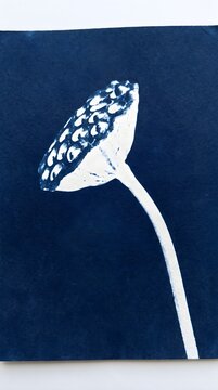 Lotus Pod Head Cyanotype Blueprint Botanical Indigo Blue Wall Art Decor