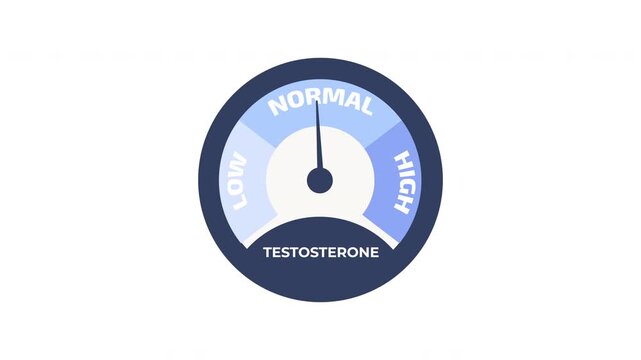 Testosterone level meter animation with rising and falling hormone levels, testosterone hormone, hormonal balance, men's health and medical concept